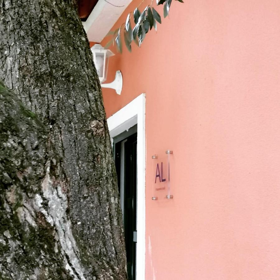 Casa Das Laranjeiras E Parque Infantil Azeitao Buitenkant foto