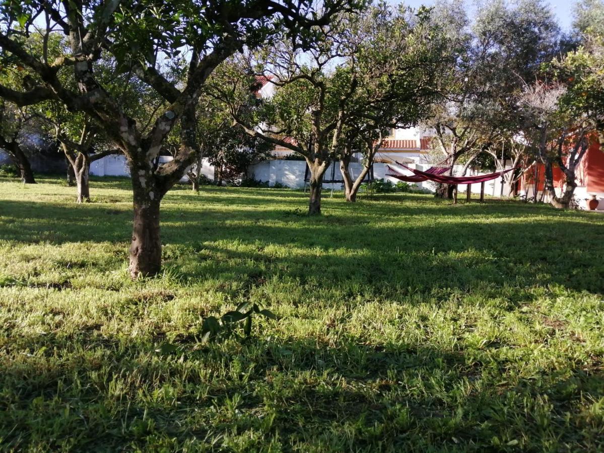 Casa Das Laranjeiras E Parque Infantil Azeitao Buitenkant foto