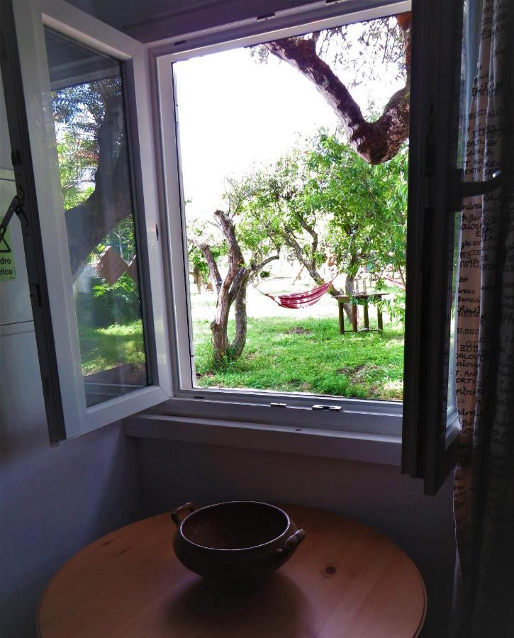Casa Das Laranjeiras E Parque Infantil Azeitao Buitenkant foto