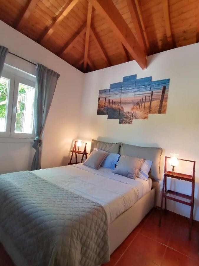 Casa Das Laranjeiras E Parque Infantil Azeitao Buitenkant foto